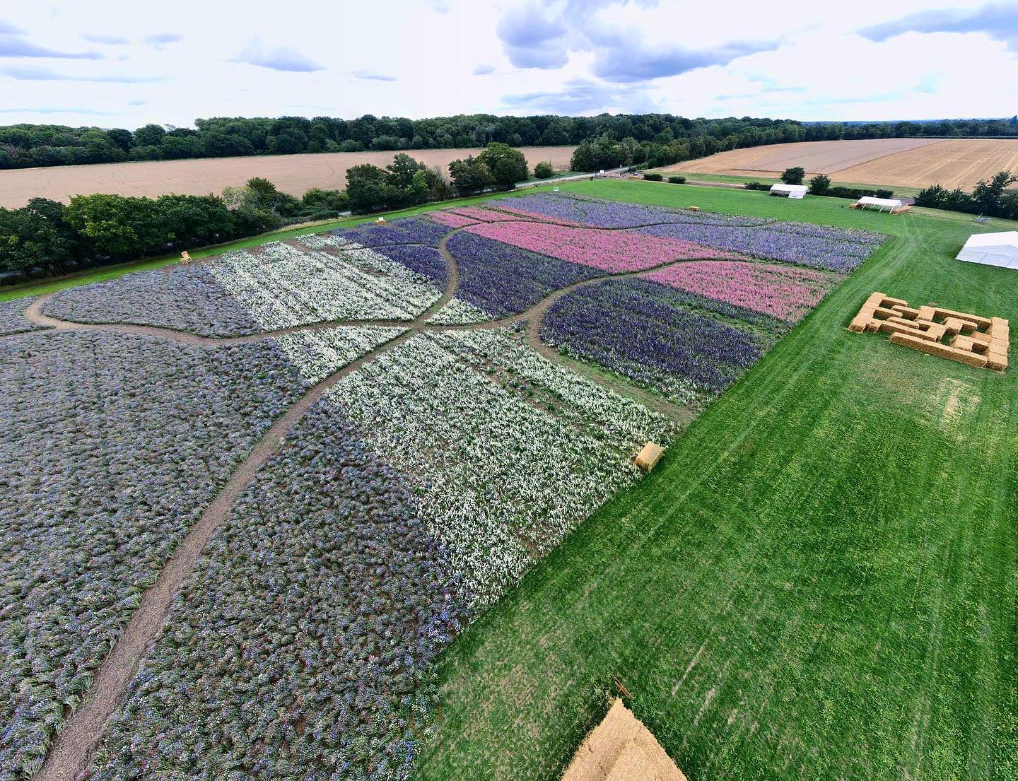 Confetti Flower Fields at Hatters Farm Discover Uttlesford